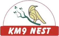 KM9 Company Logo
