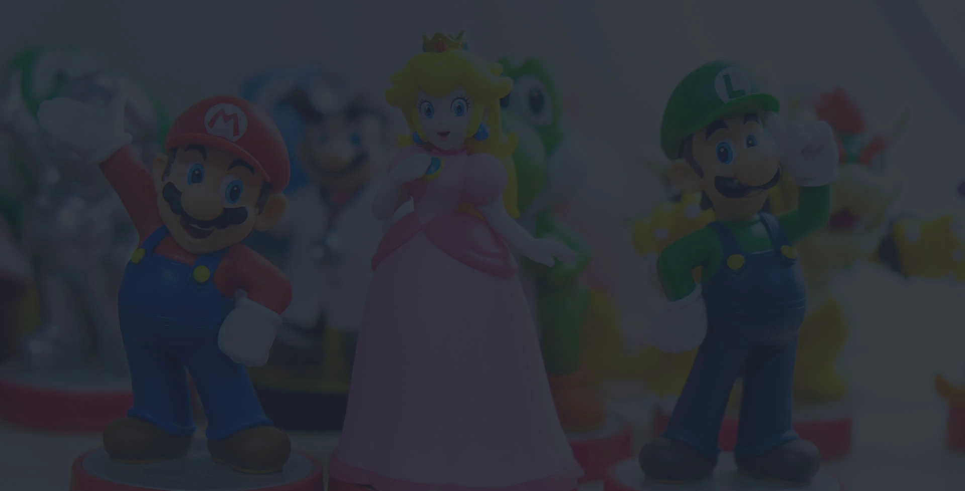 Toy shop POS software